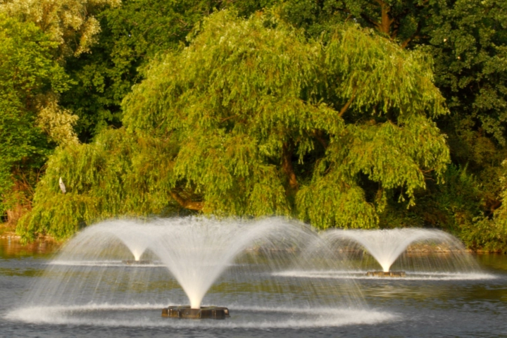 Several lake fountains in a communal lake - lake aeration services by Sorko Services in Central Florida