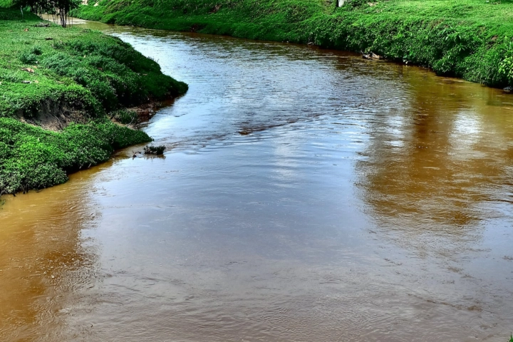 Brown muddy pond - aquatic management by Sorko Services in Central Florida