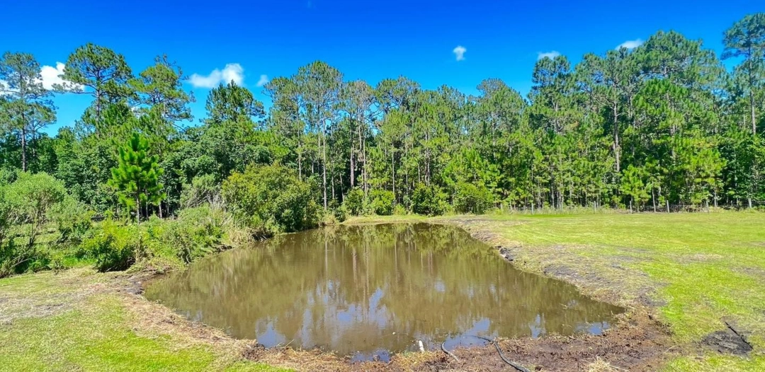 Communal pond after receiving aquatic algae removal by Sorko Services in Central Florida