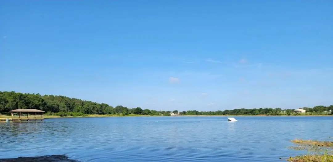 Lake front property after receiving aquatic weed removal by Sorko Services in Central Florida