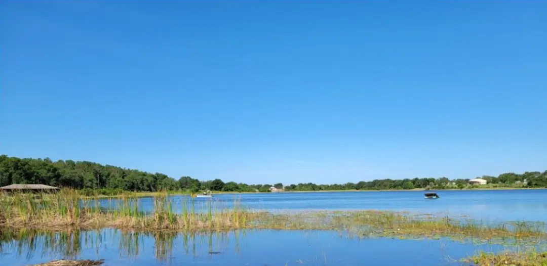 Lake front property before receiving aquatic weed removal by Sorko Services in Central Florida