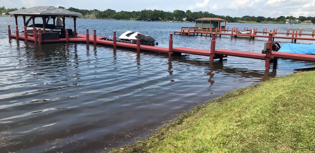 Lake front property after receiving mechanical weed control by Sorko Services in Central Florida