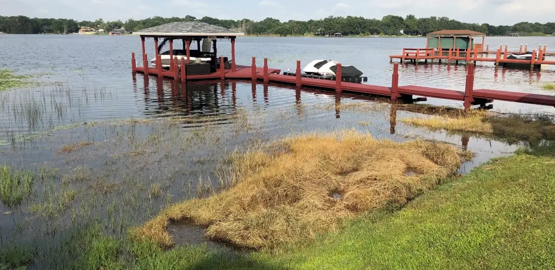 Lake front property before receiving mechanical weed control by Sorko Services in Central Florida