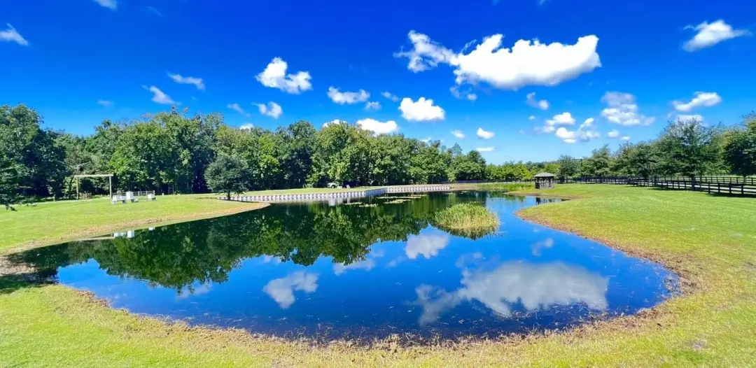Communal pond after receiving aquatic weed control by Sorko Services in Central Florida