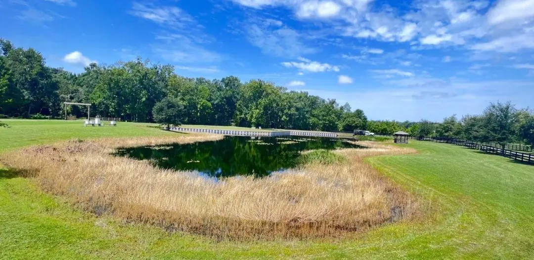 Communal pond before receiving aquatic weed control by Sorko Services in Central Florida