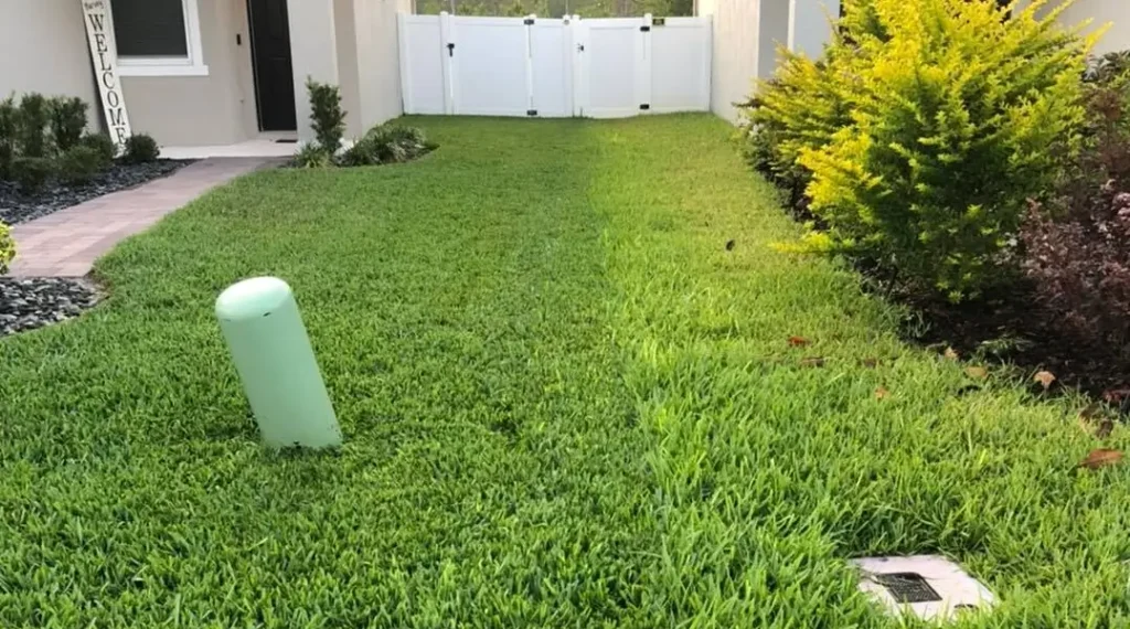 Quality lawn and shurb care by Sorko Services in Central Florida