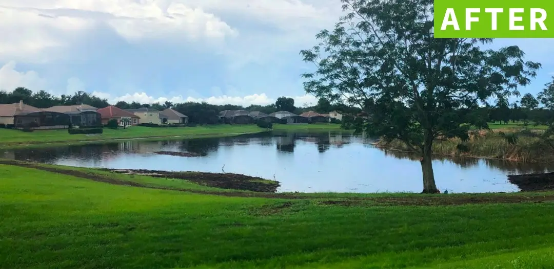 Communal pond after receiving aquatic maintenance by Sorko Services in Central Florida