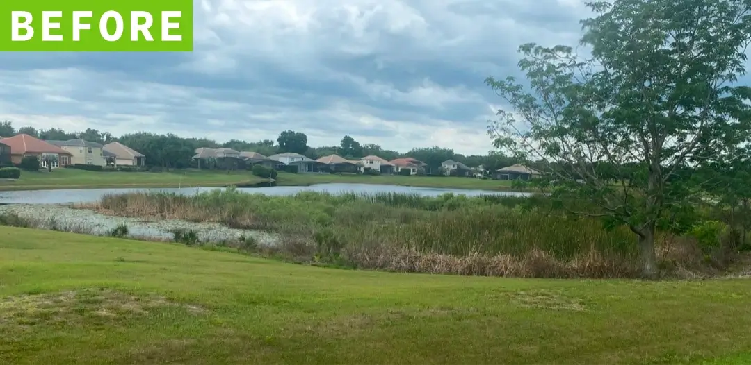 Communal pond before receiving aquatic maintenance by Sorko Services in Central Florida