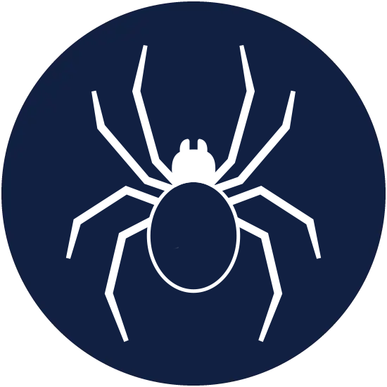 Spider graphic in Florida | Sorko Services