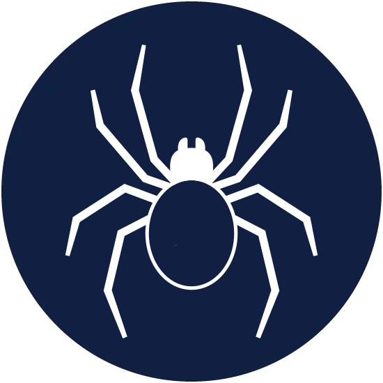 Spider graphic in Florida | Sorko Services