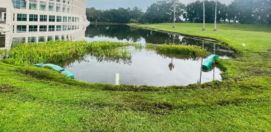 Pond on a commercial property after receiving aquatic maintenance by Sorko Services in Central Florida