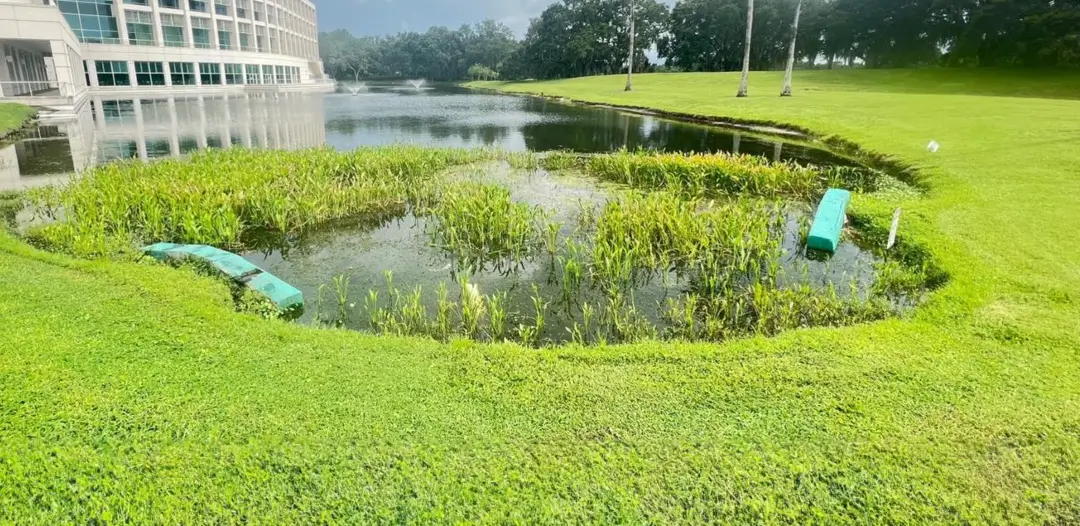 Pond on a commercial property before receiving aquatic maintenance by Sorko Services in Central Florida