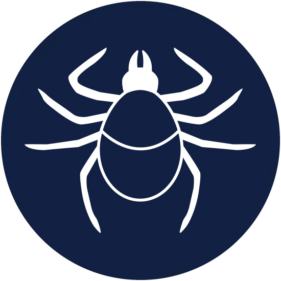 tick control by Sorko Services in Central Florida