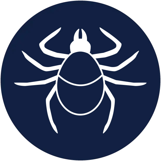 tick control by Sorko Services in Central Florida