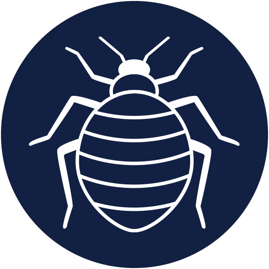 bed bug control graphic in Florida | Sorko Services