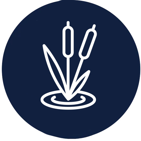 Lake Revegetation icon