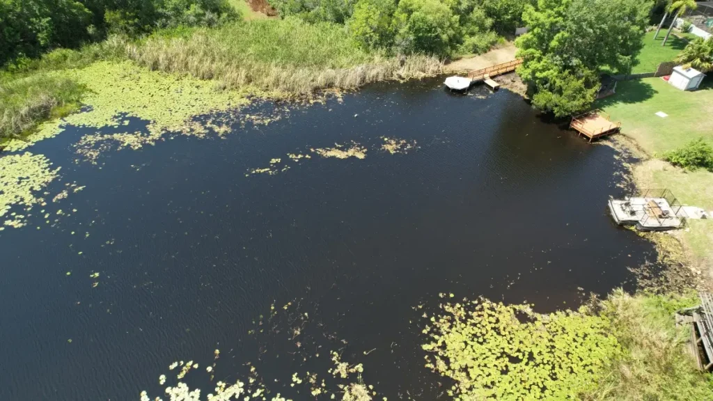 Lake clearing by Sorko Services in Central Florida