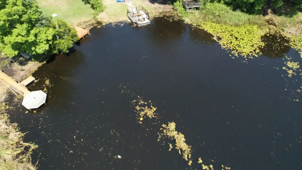 Residential lake clearing services by Sorko Services in Central Florida