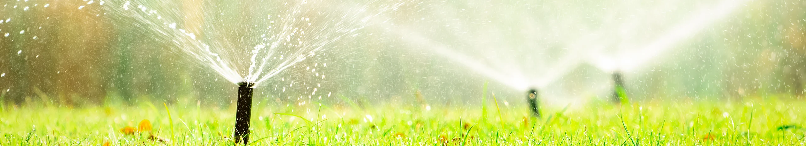 Lawn Services from Sorko Services in Central Florida