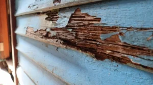 The exterior wall of a Florida home showing extensive termite damage before termite treatment from Sorko Services.